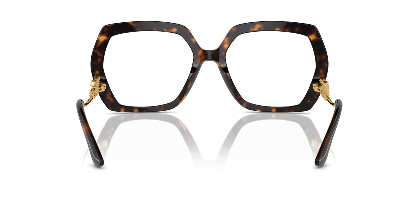 Dolce&Gabbana DG3390B Havana #colour_havana