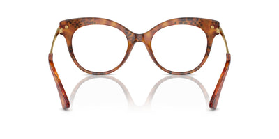 Dolce&Gabbana DG3392 Havana Leo #colour_havana-leo