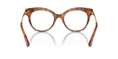 Dolce&Gabbana DG3392 Havana Leo #colour_havana-leo