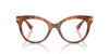 Dolce&Gabbana DG3392 Havana Leo #colour_havana-leo