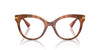 Dolce&Gabbana DG3392 Havana Leo #colour_havana-leo