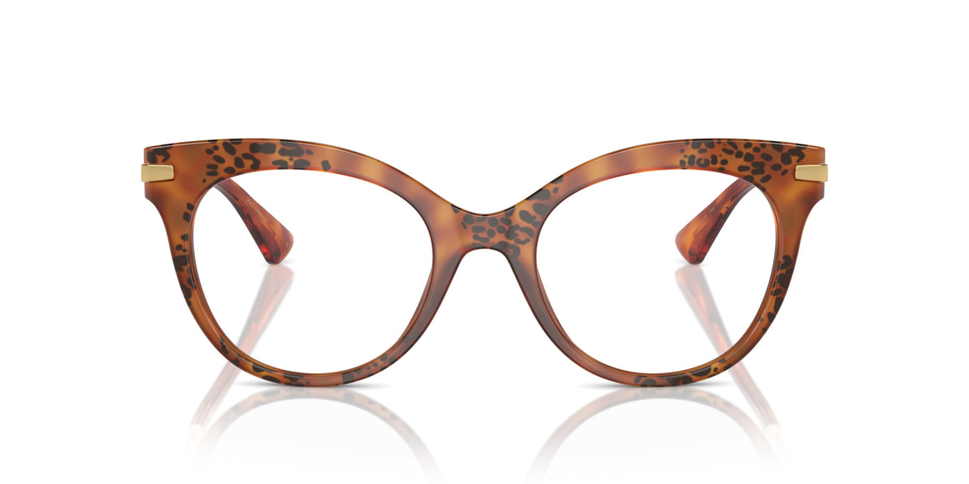 Dolce&Gabbana DG3392 Havana Leo #colour_havana-leo