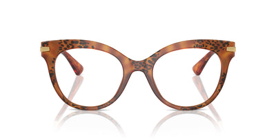 Dolce&Gabbana DG3392 Havana Leo #colour_havana-leo