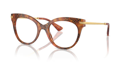 Dolce&Gabbana DG3392 Havana Leo #colour_havana-leo