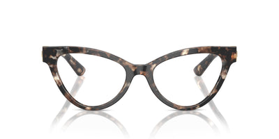 Dolce&Gabbana DG3394 Havana Brown Pearl #colour_havana-brown-pearl