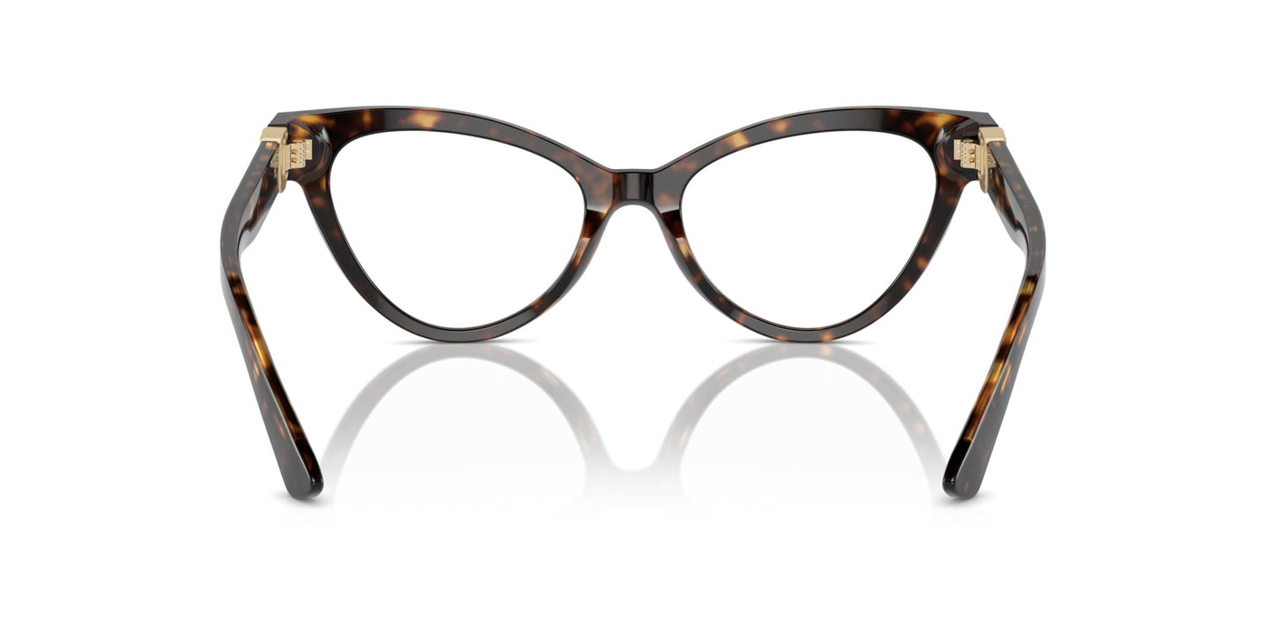 Dolce&Gabbana DG3394 Havana #colour_havana