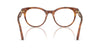 Dolce&Gabbana DG3399 Havana Leo #colour_havana-leo