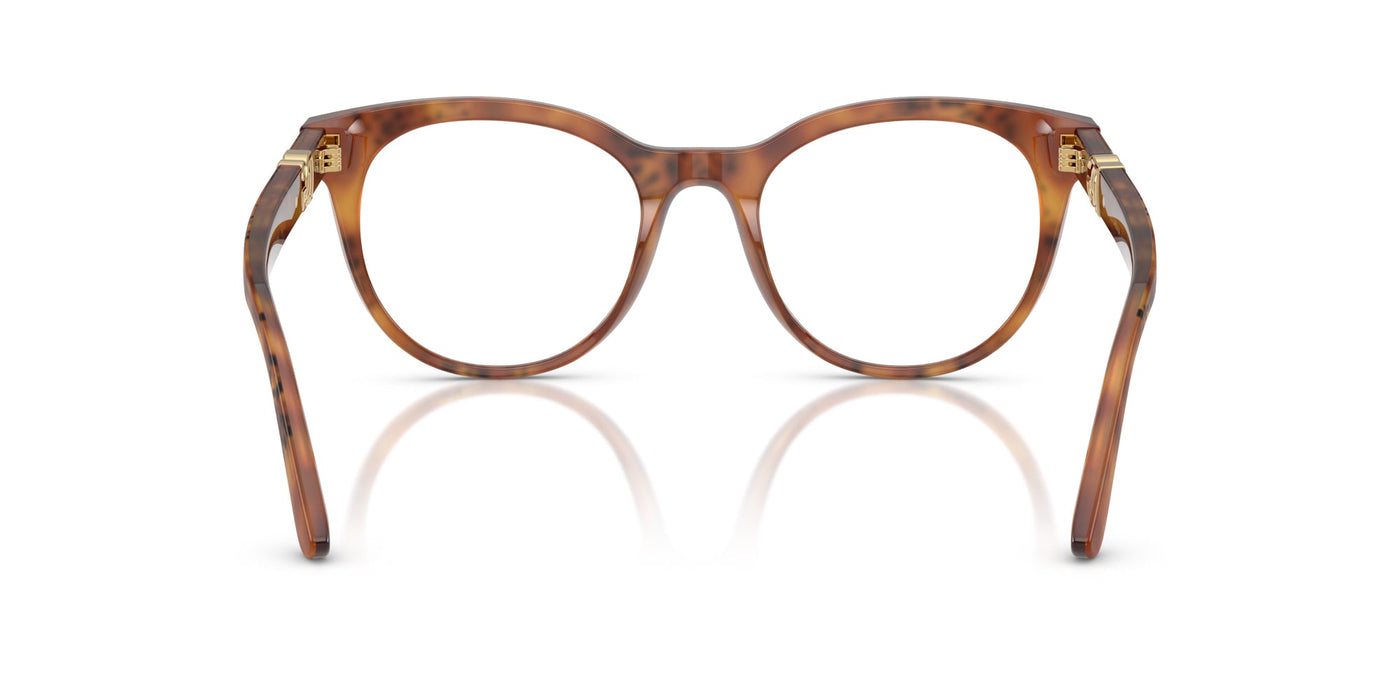 Dolce&Gabbana DG3399 Havana Leo #colour_havana-leo