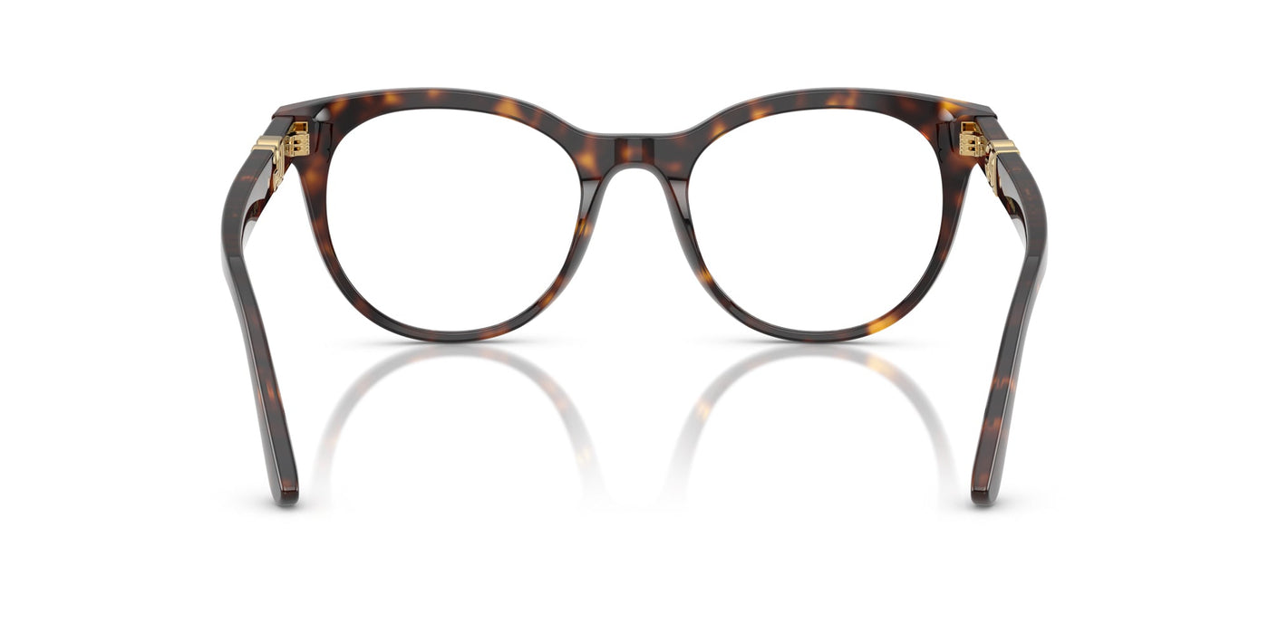 Dolce&Gabbana DG3399 Havana #colour_havana