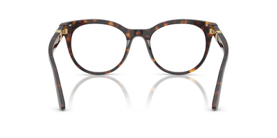 Dolce&Gabbana DG3399 Havana #colour_havana