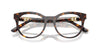 Dolce&Gabbana DG3399 Havana #colour_havana
