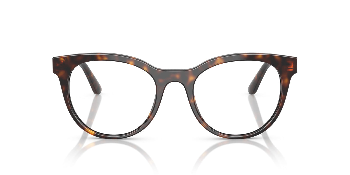 Dolce&Gabbana DG3399 Havana #colour_havana