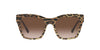 Dolce&Gabbana DG4384 Leo Brown On Black/Brown Gradient #colour_leo-brown-on-black-brown-gradient