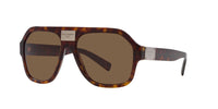 Dolce&Gabbana DG4433 Havana/Dark Brown #colour_havana-dark-brown