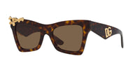 Dolce&Gabbana DG4434 Havana/Dark Brown #colour_havana-dark-brown