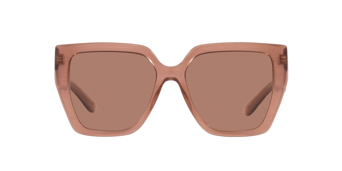 Dolce&Gabbana DG4438 Fleur Caramel/Dark Brown #colour_fleur-caramel-dark-brown