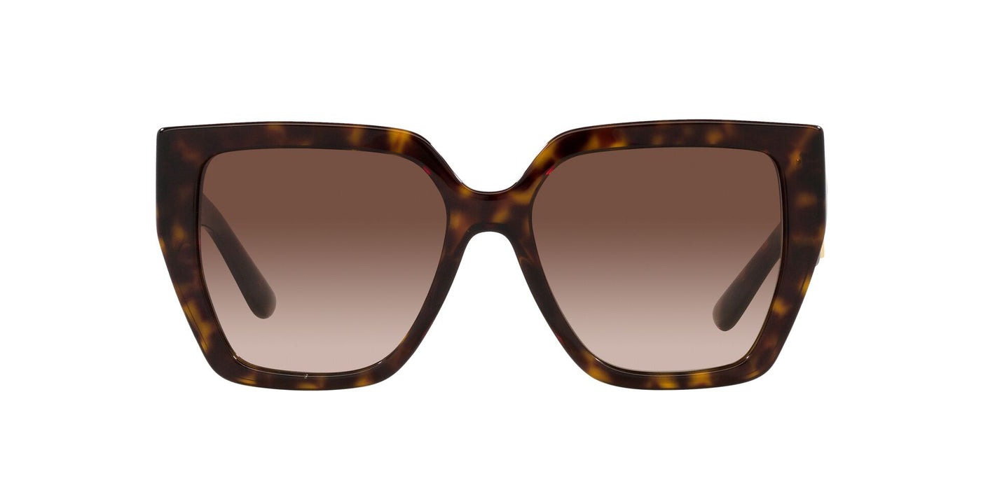 Dolce&Gabbana DG4438 Havana/Brown Gradient #colour_havana-brown-gradient