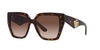 Dolce&Gabbana DG4438 Havana/Brown Gradient #colour_havana-brown-gradient