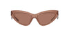 Dolce&Gabbana DG4439 Fleur Caramel/Dark Brown #colour_fleur-caramel-dark-brown