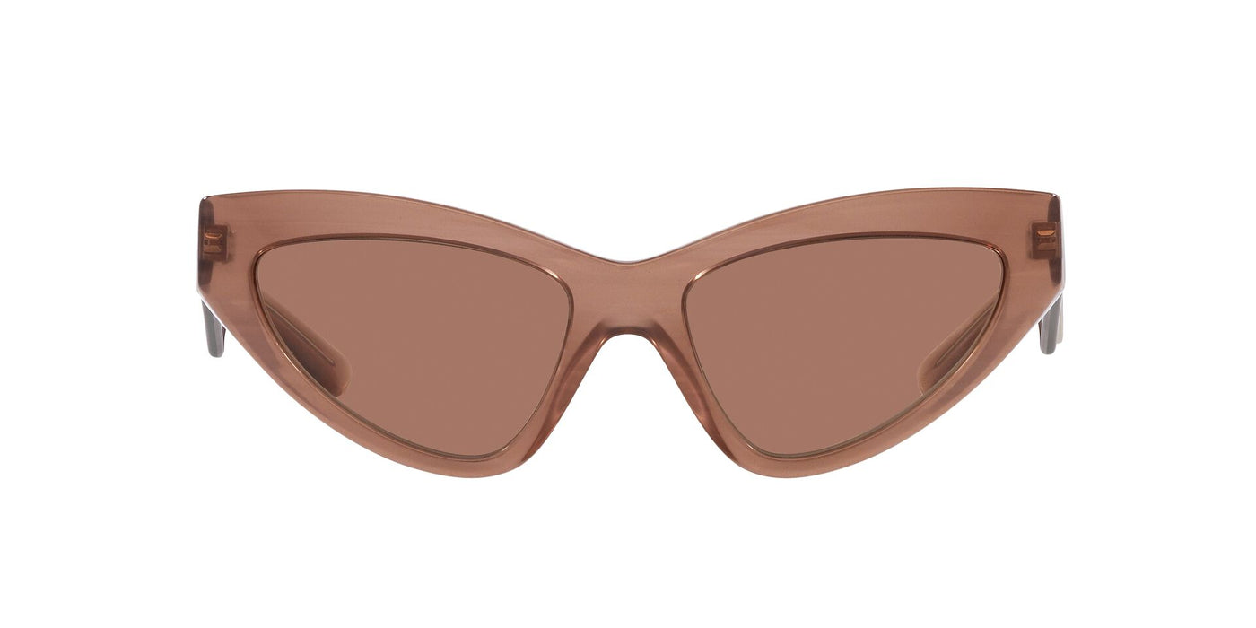 Dolce&Gabbana DG4439 Fleur Caramel/Dark Brown #colour_fleur-caramel-dark-brown