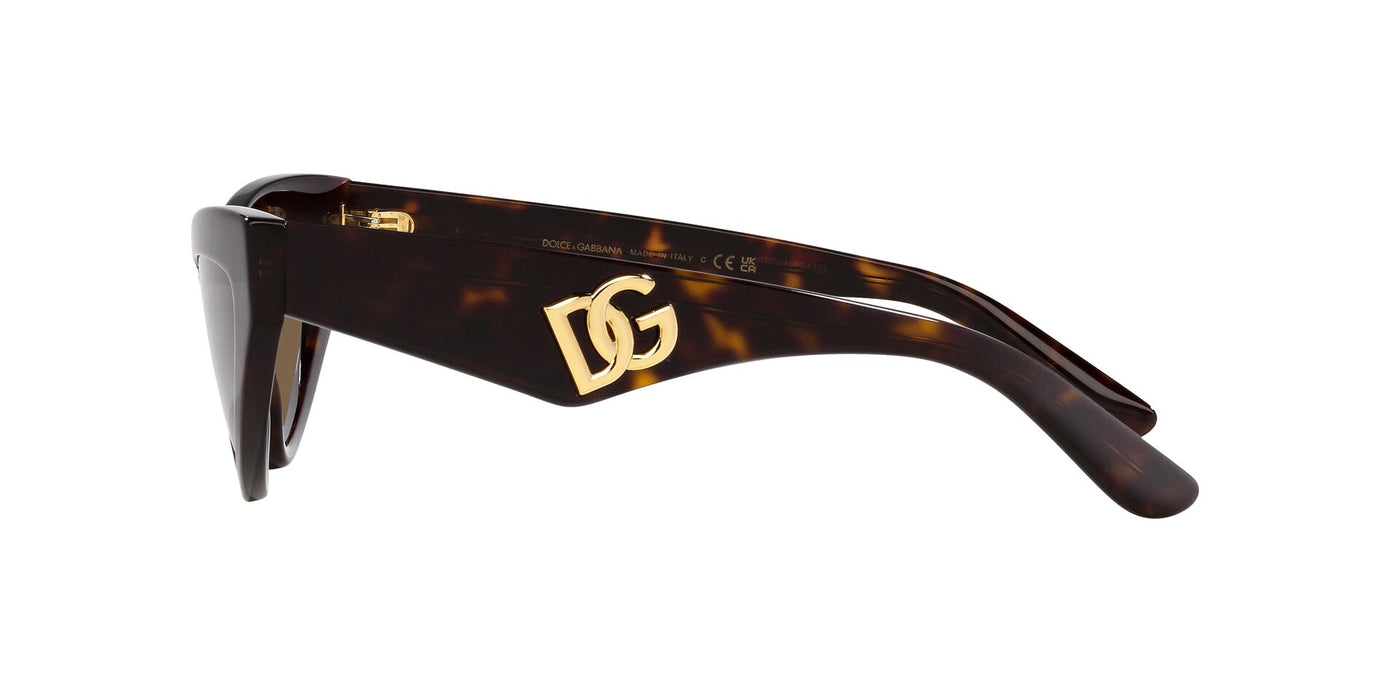 Dolce&Gabbana DG4439 Havana/Dark Brown #colour_havana-dark-brown