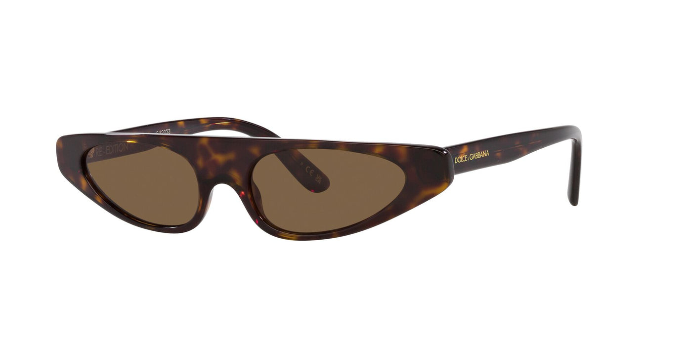 Dolce&Gabbana DG4442 Havana/Dark Brown #colour_havana-dark-brown