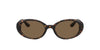 Dolce&Gabbana DG4443 Havana/Dark Brown #colour_havana-dark-brown