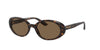 Dolce&Gabbana DG4443 Havana/Dark Brown #colour_havana-dark-brown