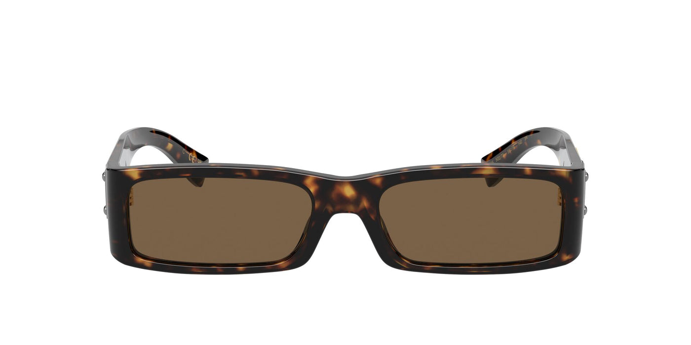 Dolce&Gabbana DG4444 Havana/Dark Brown #colour_havana-dark-brown