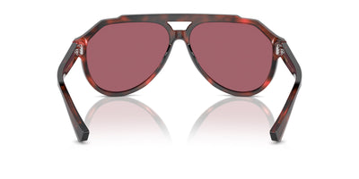 Dolce&Gabbana DG4452 Red Havana/Dark Violet #colour_red-havana-dark-violet