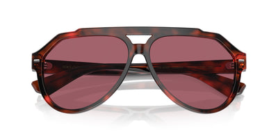 Dolce&Gabbana DG4452 Red Havana/Dark Violet #colour_red-havana-dark-violet