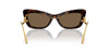 Dolce&Gabbana DG4467B Havana/Dark Brown #colour_havana-dark-brown