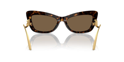 Dolce&Gabbana DG4467B Havana/Dark Brown #colour_havana-dark-brown