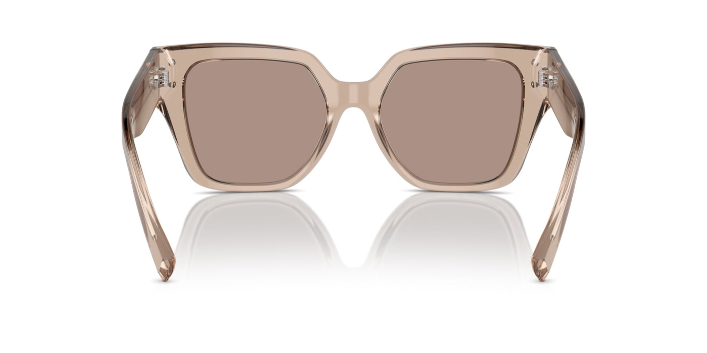 Dolce&Gabbana DG4471 Transparent Camel/Light Brown Flash Gold Mirror #colour_transparent-camel-light-brown-flash-gold-mirror