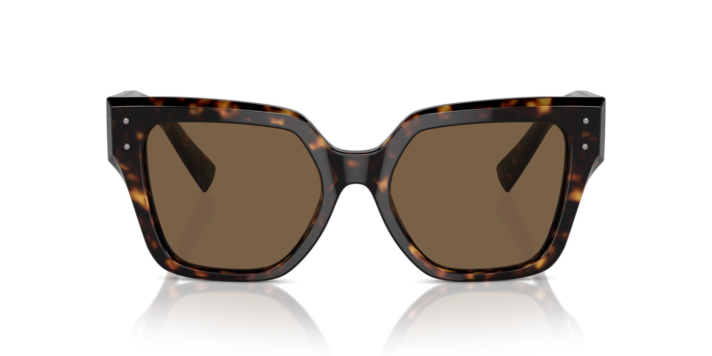 Dolce&Gabbana DG4471 Havana/Dark Brown #colour_havana-dark-brown