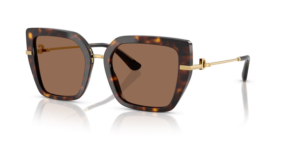 Dolce&Gabbana DG4413 L (48 - 23) with Grey lenses and Black