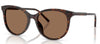 Dolce&Gabbana DG4540#colour_havana-dark-brown