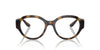 Dolce&Gabbana DG5111 Havana #colour_havana