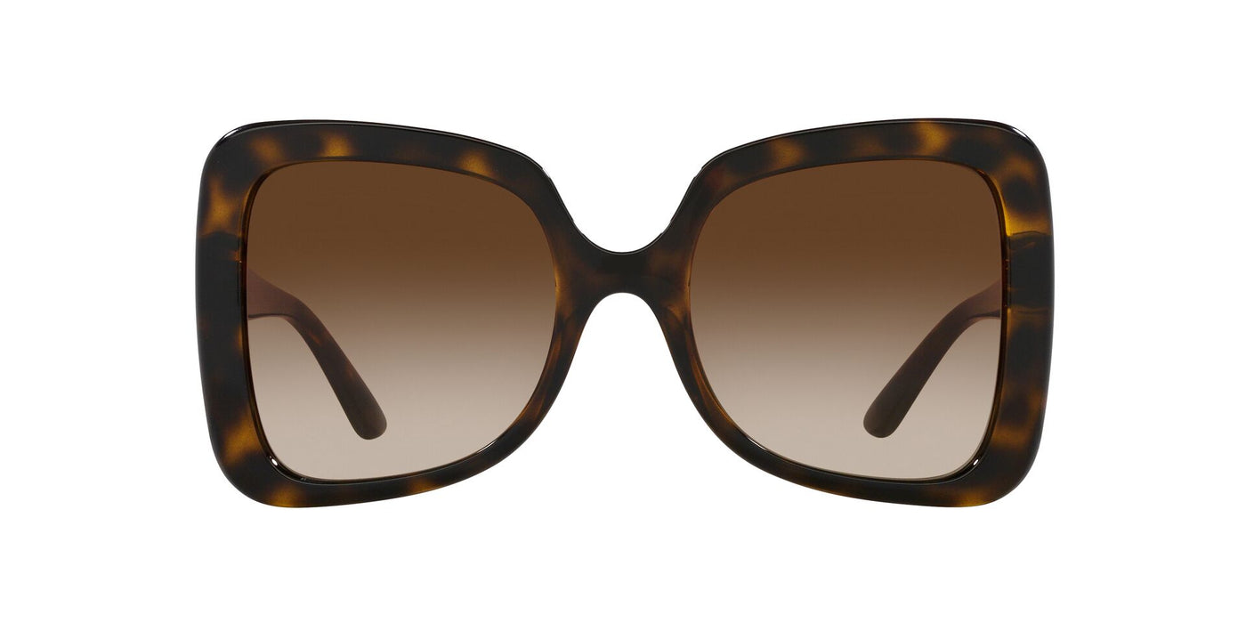 Dolce&Gabbana DG6193U Havana/Brown Gradient #colour_havana-brown-gradient