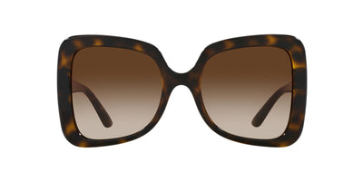 Dolce&Gabbana DG6193U Havana/Brown Gradient #colour_havana-brown-gradient
