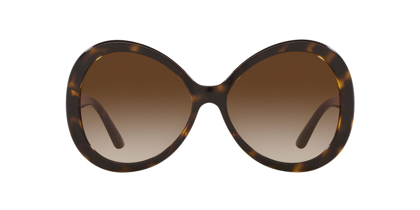 Dolce&Gabbana DG6194U Havana/Brown Gradient #colour_havana-brown-gradient