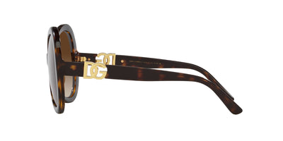 Dolce&Gabbana DG6194U Havana/Brown Gradient #colour_havana-brown-gradient