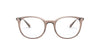 Emporio Armani EA3168 Shiny Transparent Tundra #colour_shiny-transparent-tundra