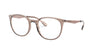 Emporio Armani EA3168 Shiny Transparent Tundra #colour_shiny-transparent-tundra