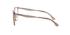 Emporio Armani EA3168 Shiny Transparent Tundra #colour_shiny-transparent-tundra