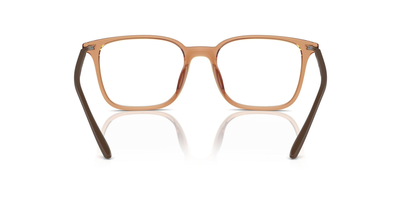 Emporio Armani EA3242U Shiny Transparent Brown #colour_shiny-transparent-brown