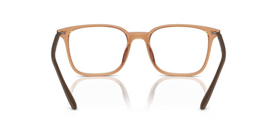 Emporio Armani EA3242U Shiny Transparent Brown #colour_shiny-transparent-brown