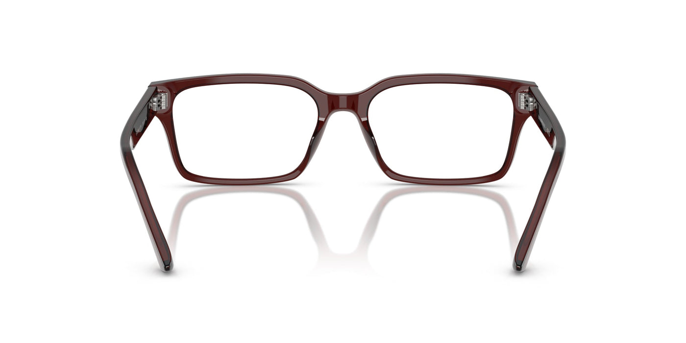 Emporio Armani EA3244 Transparent Brown #colour_transparent-brown