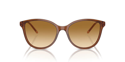 Emporio Armani EA4220 Shiny Transparent Light Brown/Yellow Light Brown Gradient #colour_shiny-transparent-light-brown-yellow-light-brown-gradient