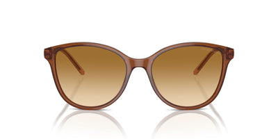 Emporio Armani EA4220 Shiny Transparent Light Brown/Yellow Light Brown Gradient #colour_shiny-transparent-light-brown-yellow-light-brown-gradient